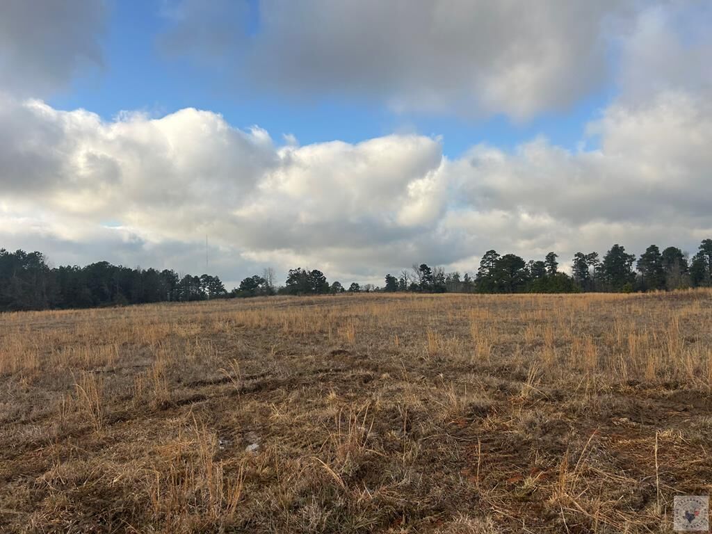 Property Photo:  Tbd Private Road 1108 (Lot 14)  AR 71837 