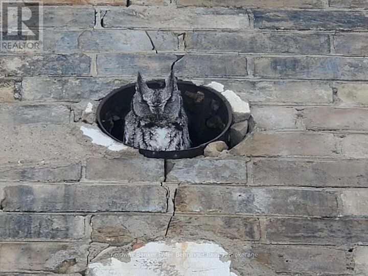 Photo de la propriété:  252 1st Avenue North  ON N0G 1L0 