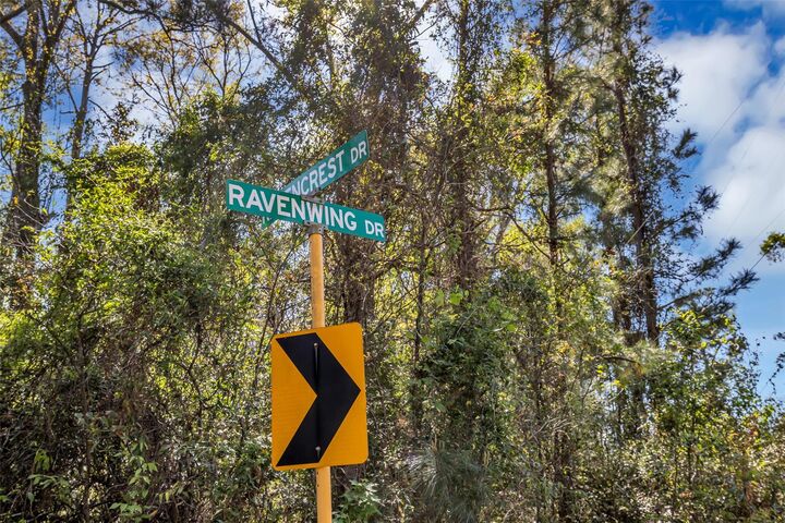 Property Photo: Lot 139 Ravenwood Drive TX 77365
