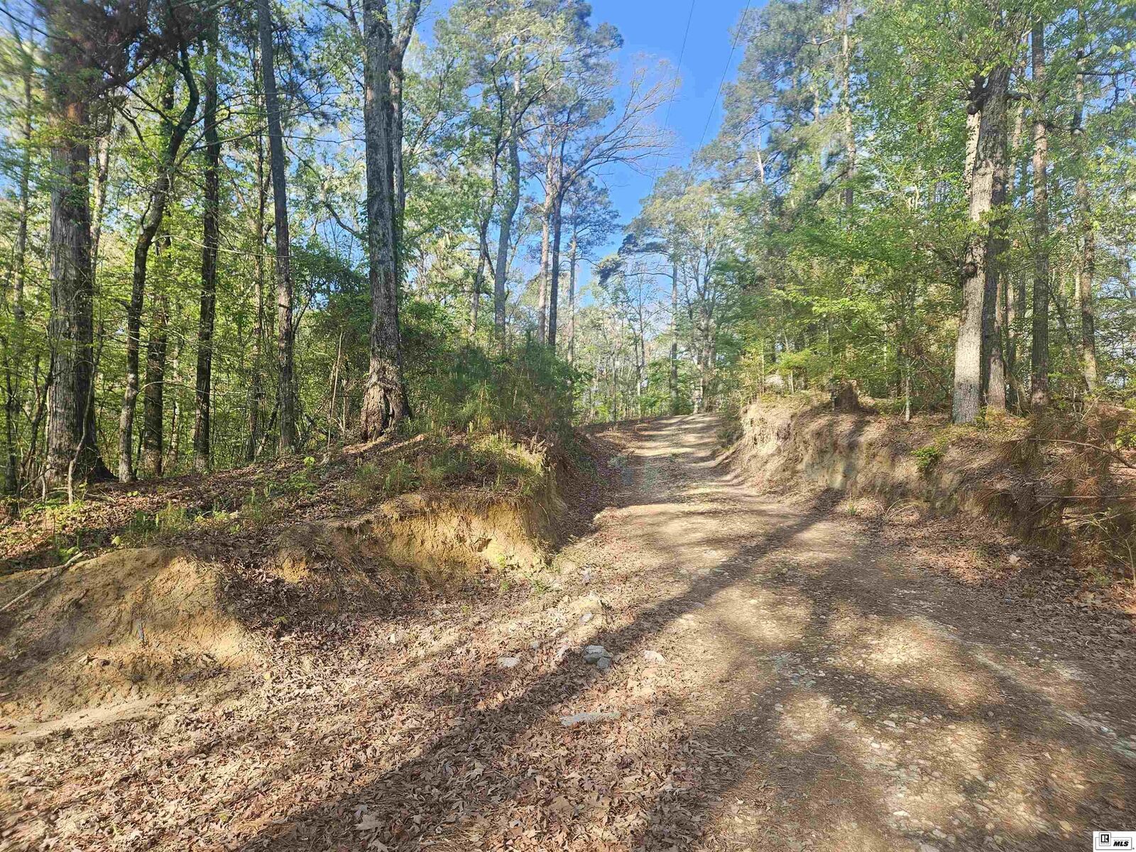 Property Photo: 0 Iley Evans Road LA 71292