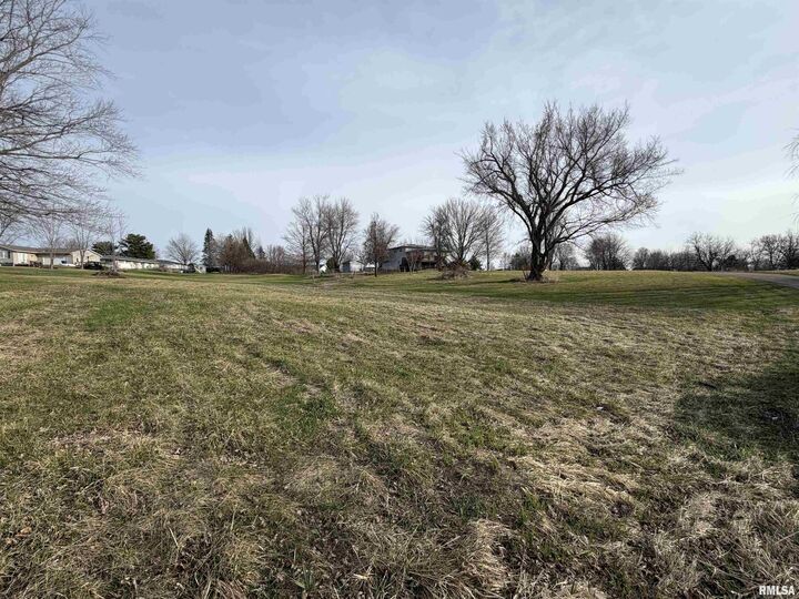 Property Photo:  Lot 437 Horseshoe Drive  IL 61415 
