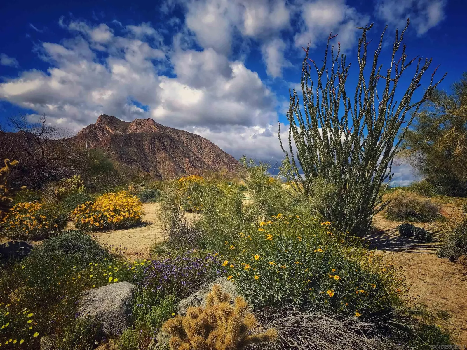 Property Photo:  0 Palm Canyon Dr. 0  CA 92004 