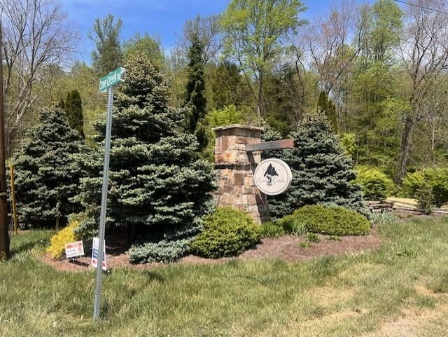 Property Photo:  Lot 76 Cove Creek  VA 24651 