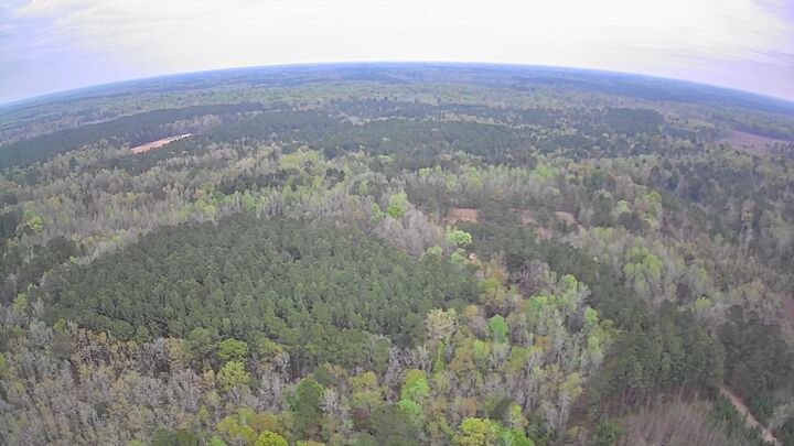 Property Photo:  Tbd Salcro Lane Interior Parcel Highway  SC 29481 