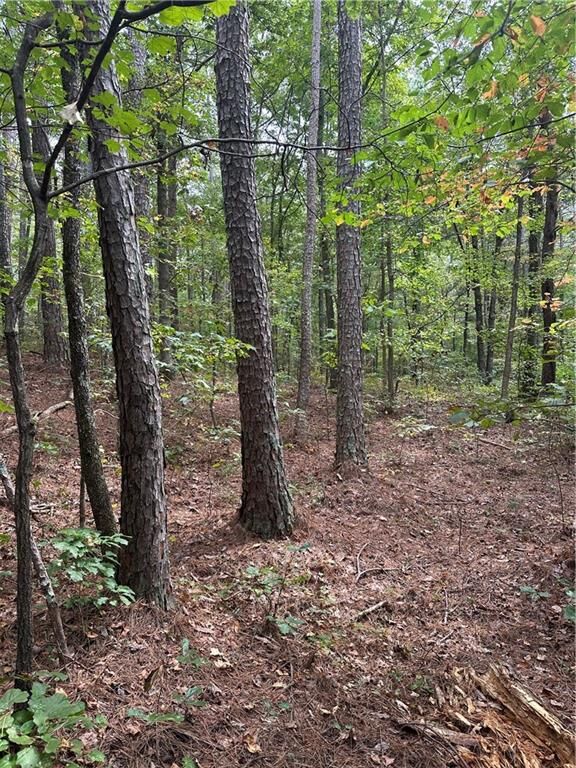 Property Photo:  3842 Salacoa-Tract A  GA 30183 