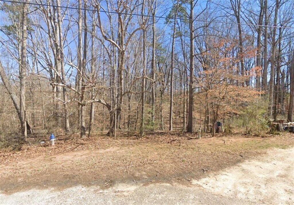 Property Photo:  101 Birch Court  GA 30549 