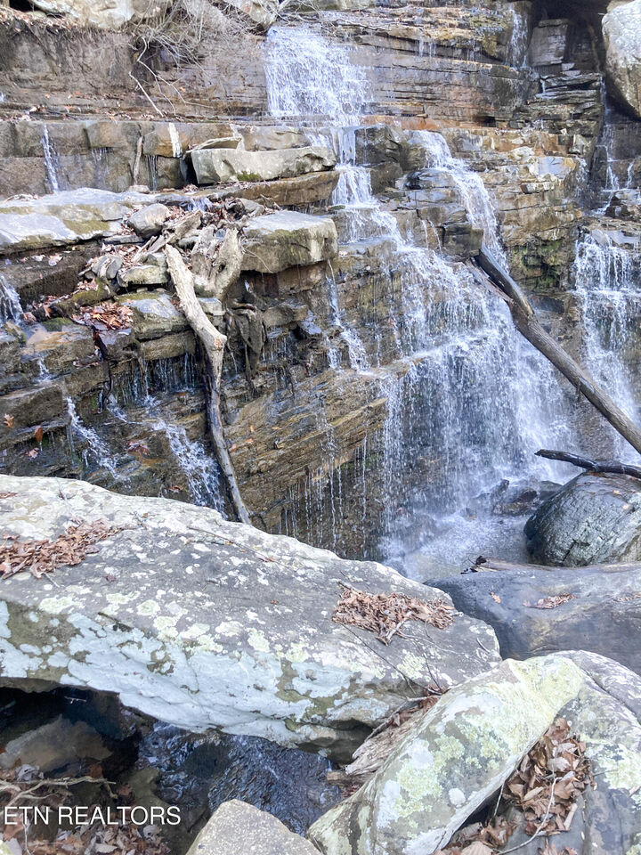 Property Photo:  Rockfort Road - 100 Acres  TN 37367 