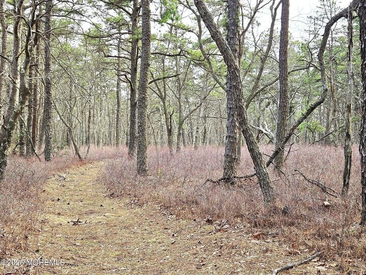 Property Photo:  0 Birchwood Drive  NJ 08087 