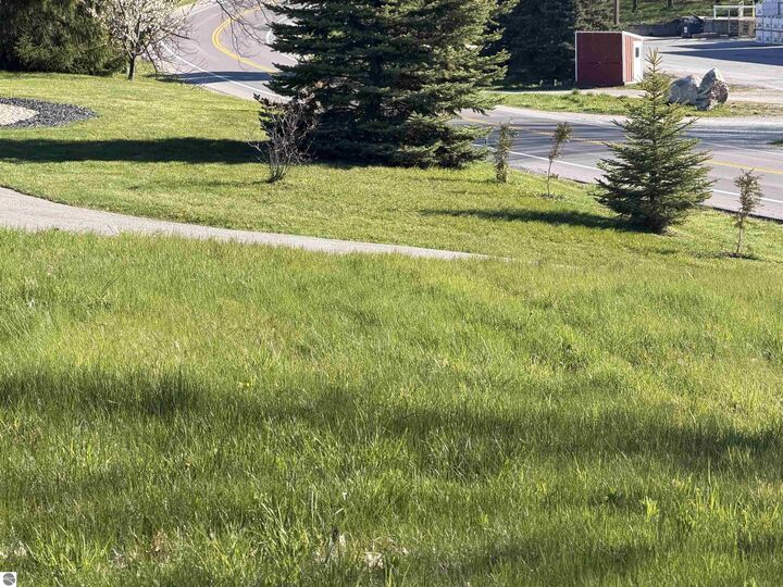 Property Photo:  0 Center Road  MI 49686 