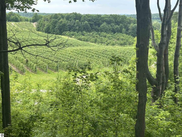 Property Photo: 0 Center Road MI 49686