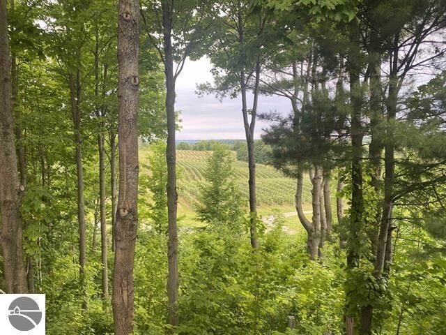 Property Photo:  0 Center Road  MI 49686 
