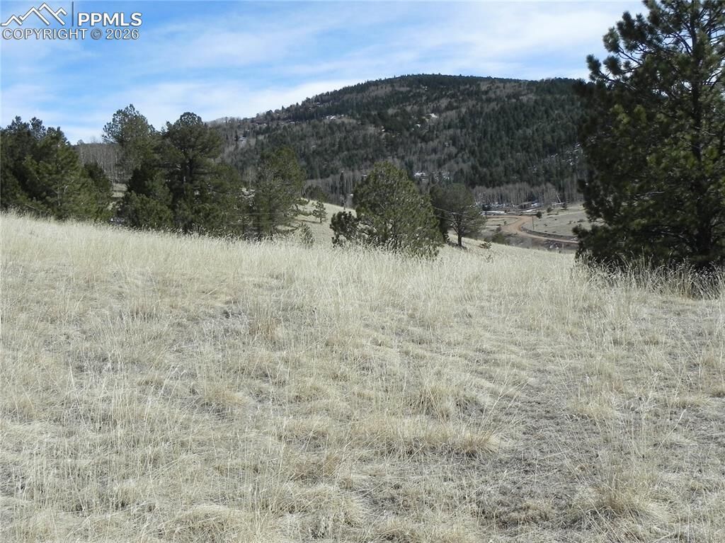 Property Photo:  1087 Monarch Drive  CO 80813 