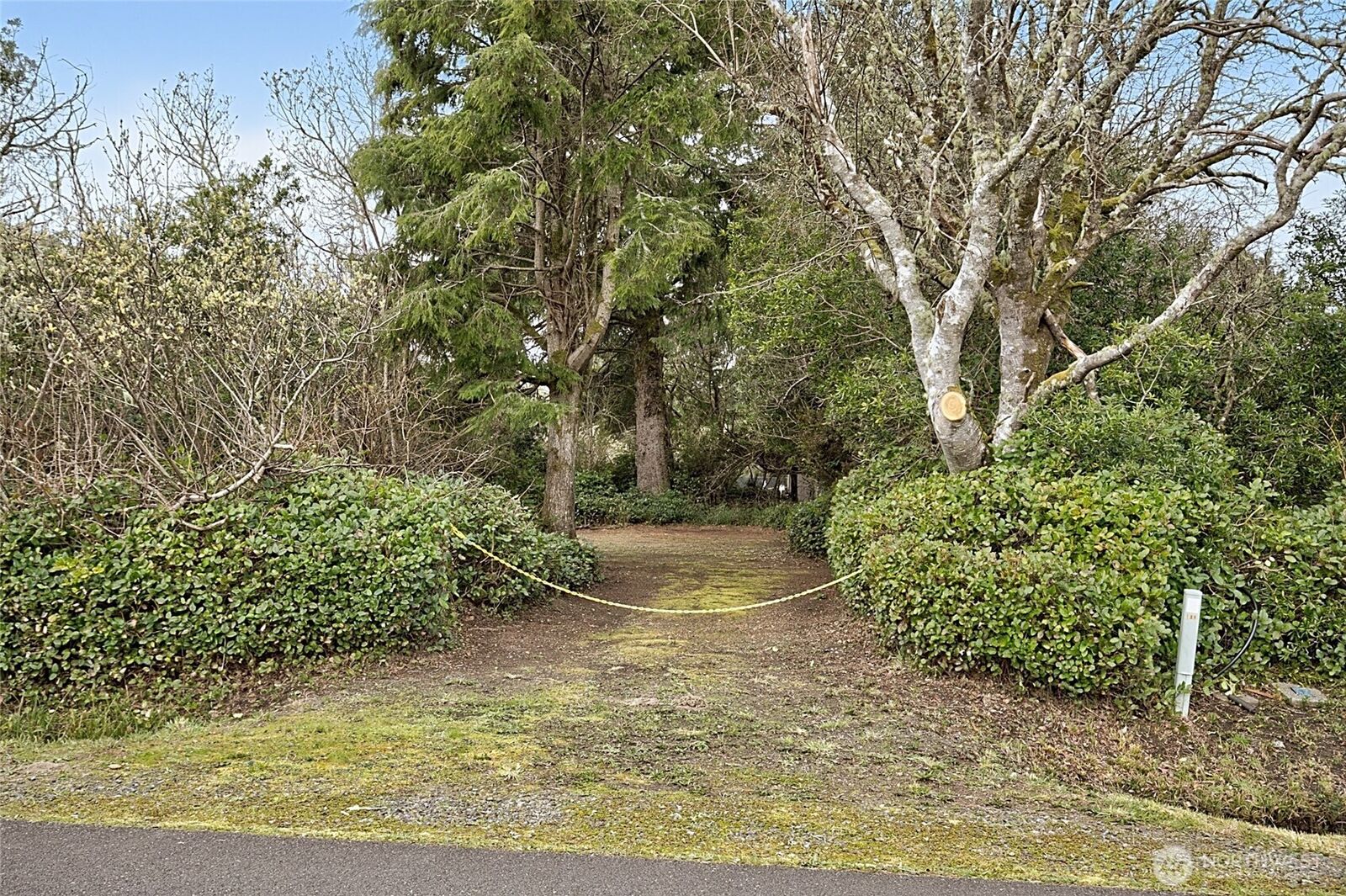 Property Photo:  189 S Narwhal Loop SW  WA 98569 