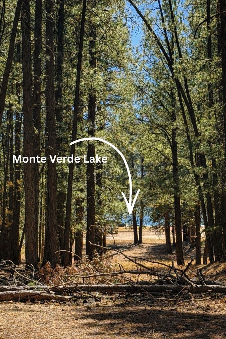 Property Photo: 31 Via Del Rey NM 87710