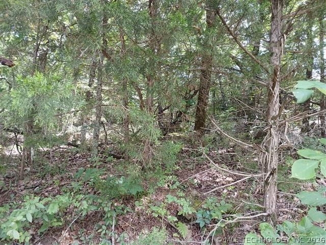 Property Photo:  County Road 1170  OK 74432 