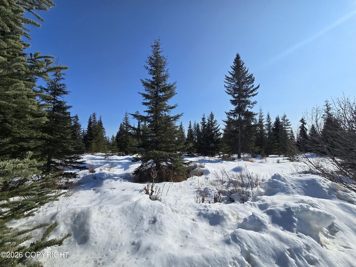 Property Photo:  L2 Sunshine Drive  AK 99556 