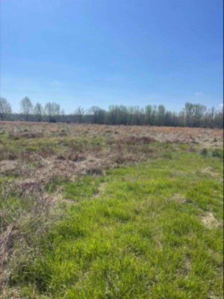 Property Photo:  000 Holland Road  AR 72176 