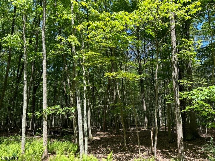 Property Photo:  0 Devita Rd  NJ 07826 