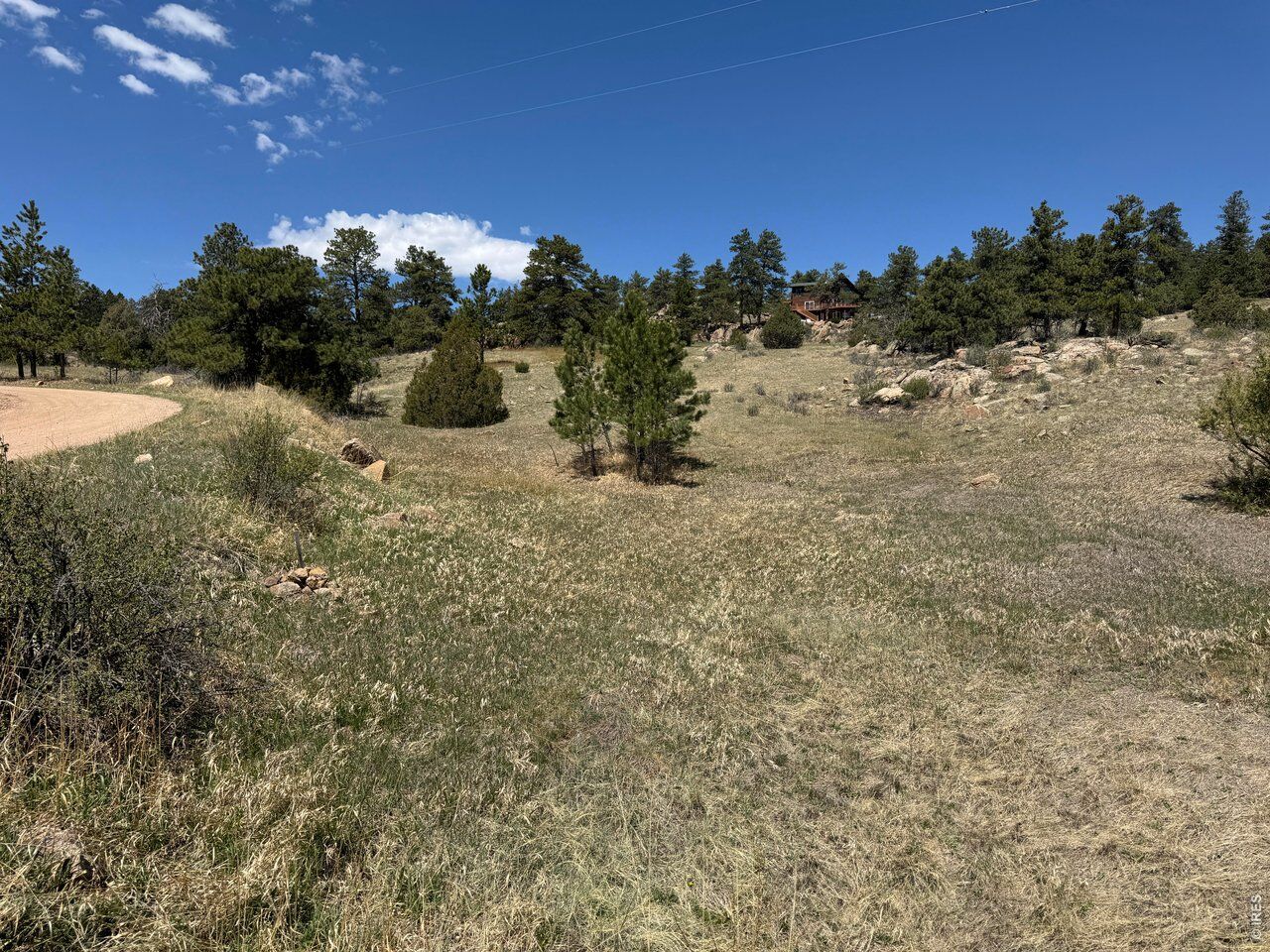 Property Photo:  565 Le Conte Dr  CO 80536 