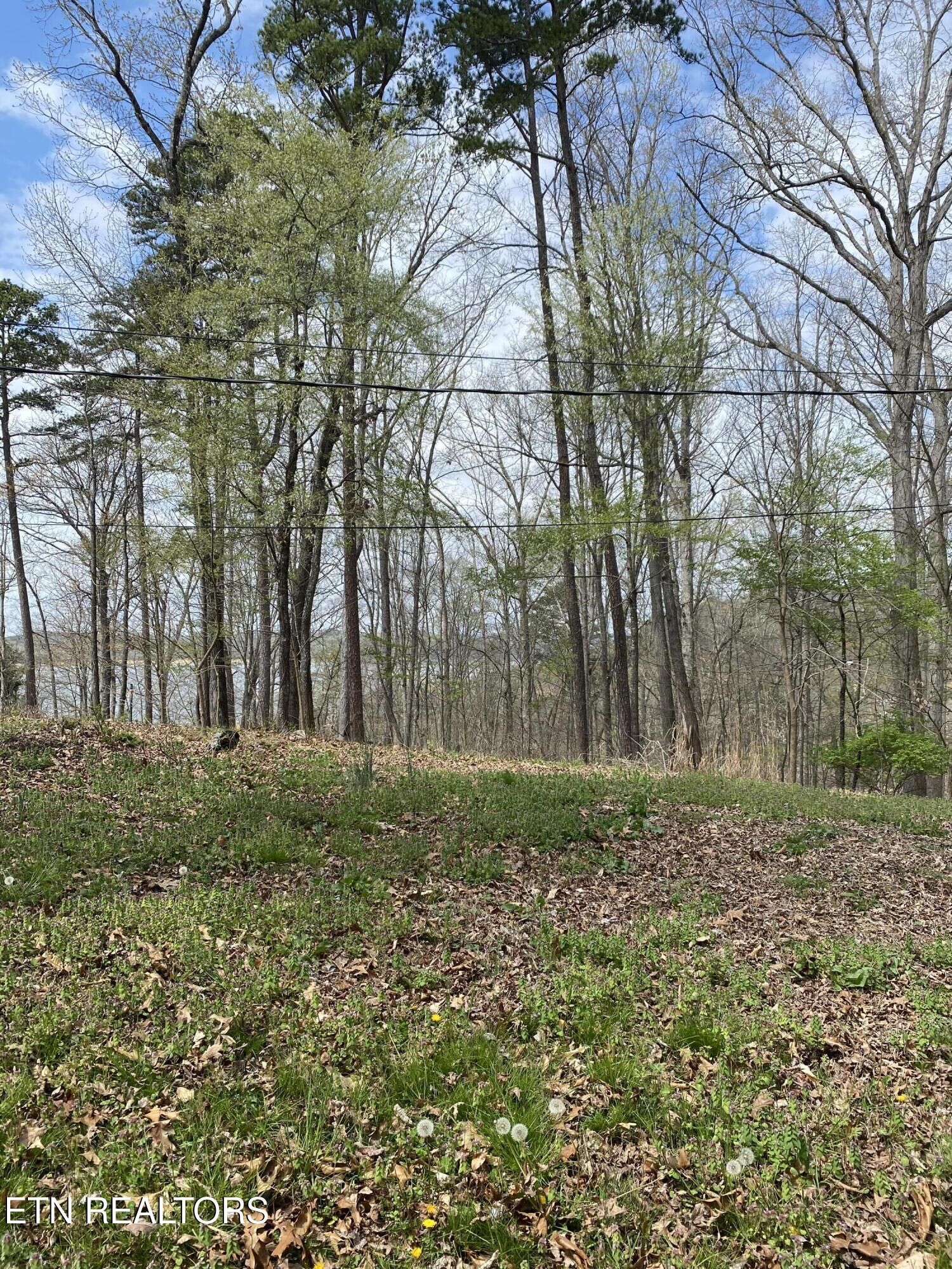 Property Photo: Lot 429 Mayflower Lane TN 37725