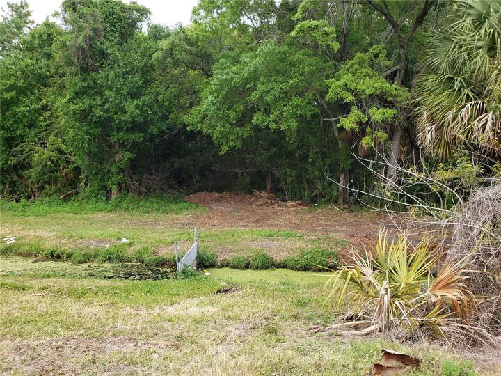 Property Photo:  Grosse Avenue  FL 34689 