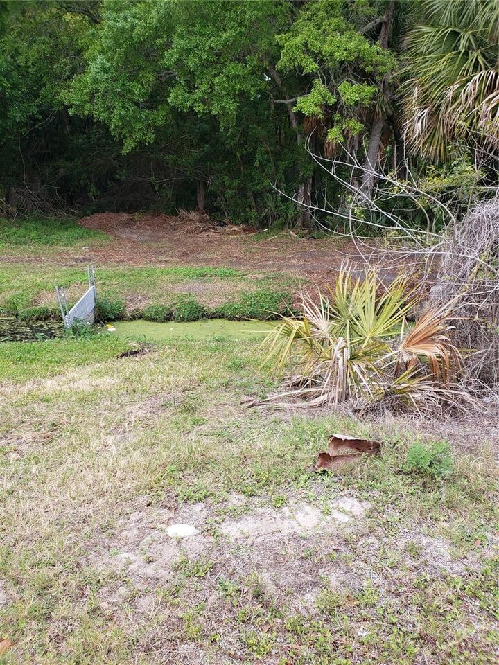 Property Photo: Grosse Avenue FL 34689