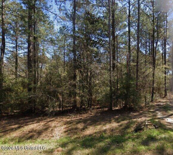 Property Photo:  808 Big 4 Road  MS 39577 