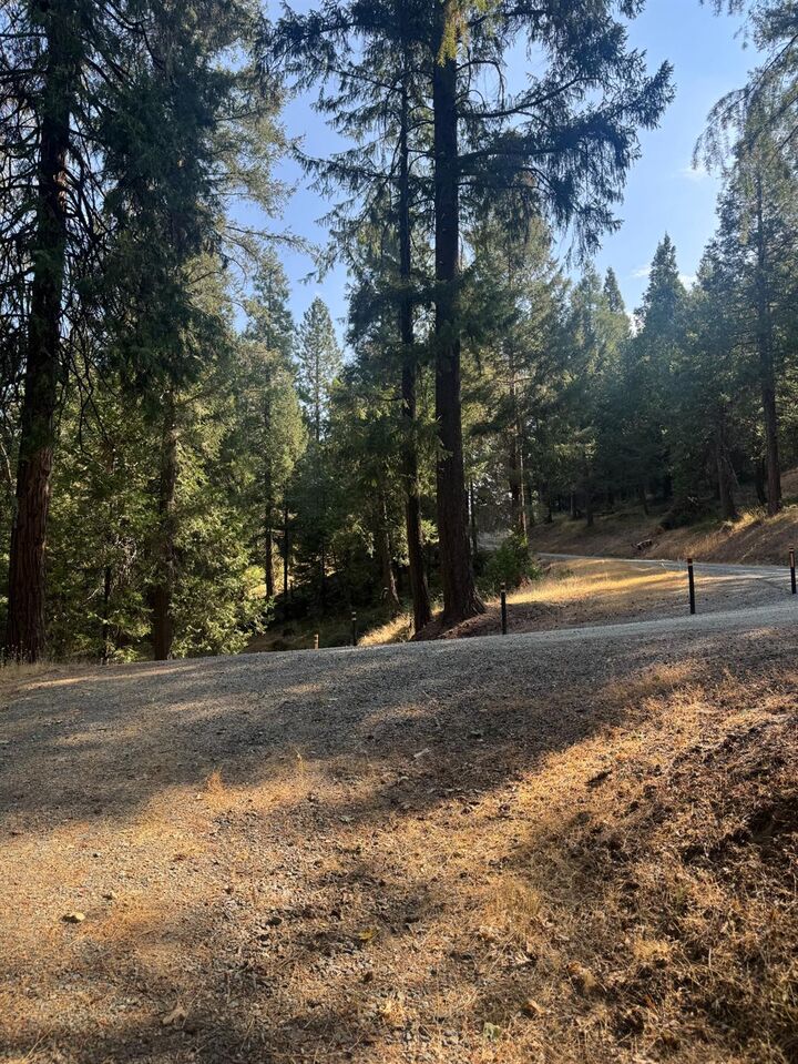 Property Photo:  4920 Arctic Lane  CA 95684 