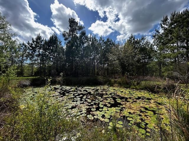 Property Photo:  6914 S SR 71  FL 32424 