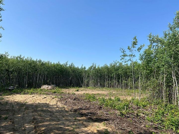 Property Photo:  4 Ironwood Point Road  MB R0E 2A0 