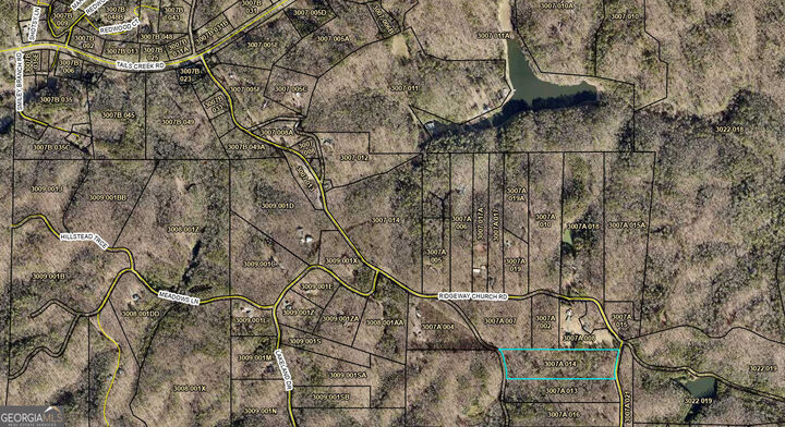 Property Photo:  1302 Ridgeway Church Road  GA 30540 