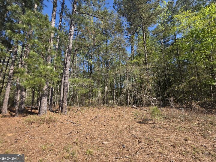 Property Photo:  Tract B Ga Highway 102  GA 30820 