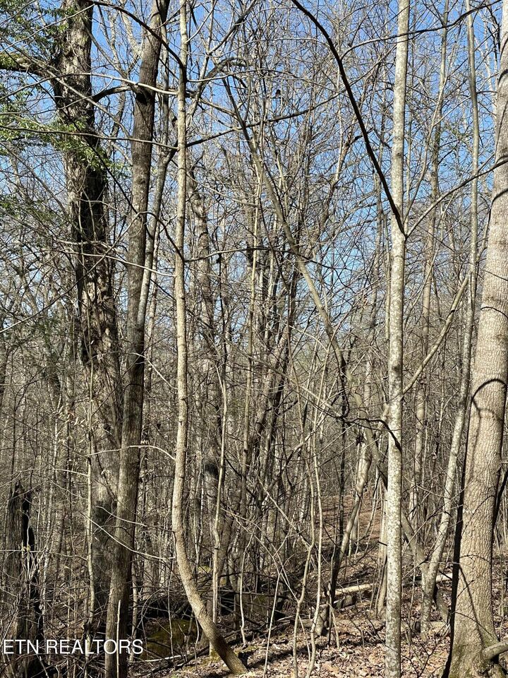 Property Photo:  N Center Ridge Place  TN 37890 