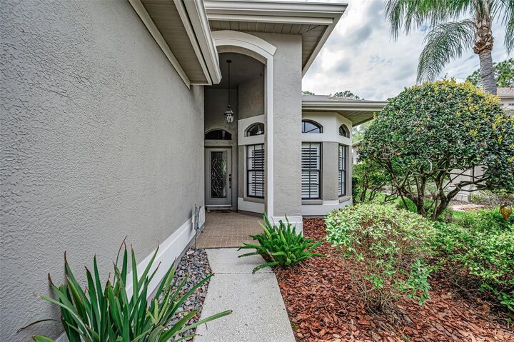 Property Photo:  1502 Woodstream Drive  FL 34677 
