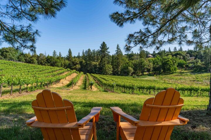 Property Photo:  16915 Red Mule Road  CA 95629 