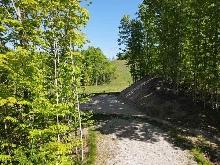 Property Photo:  Tbd Pesek  MI 49727 