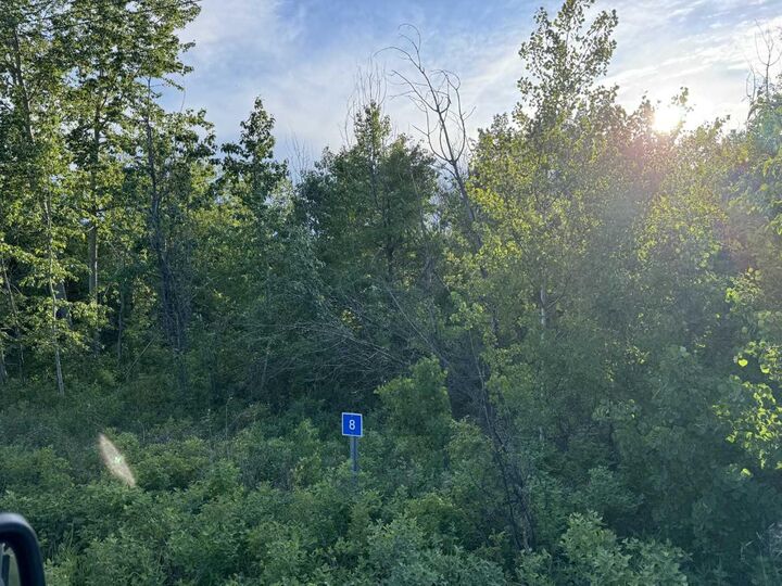 8 Buffalo Drive — photo 1