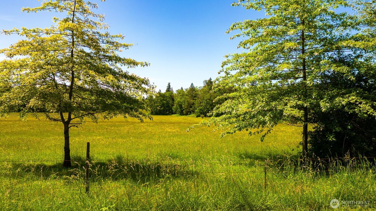 Property Photo:  0  Pipeline Road  WA 98230 