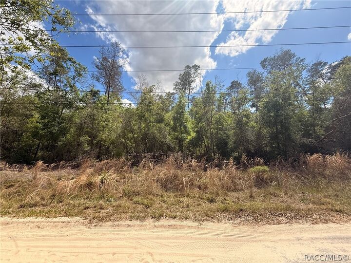 Property Photo: 2907 Clearwood Street FL 34452
