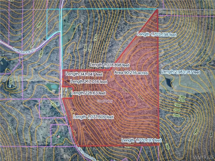 Property Photo: 0 Haines Hollow Road NY 14741