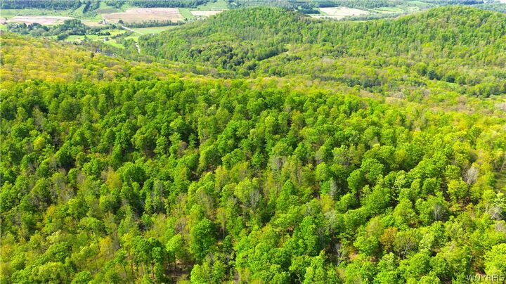 Property Photo:  0 Haines Hollow Road  NY 14741 
