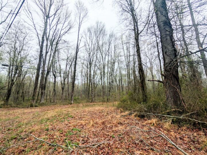 Property Photo:  Keech Road  MD 20622 