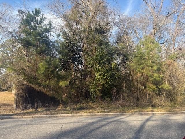 Property Photo:  Near 217/Tbd East Clay St.  NC 28472 