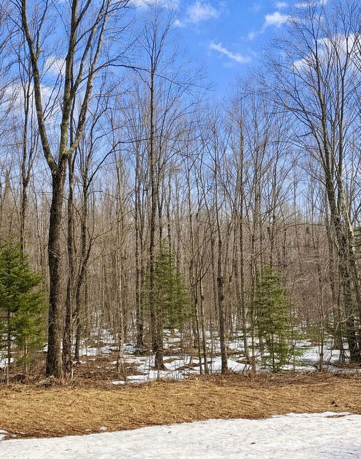 Property Photo:  4378N Kimmear Rd  WI 54547 