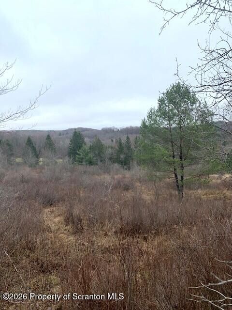 Property Photo:  Jackson Valley Road  PA 18830 