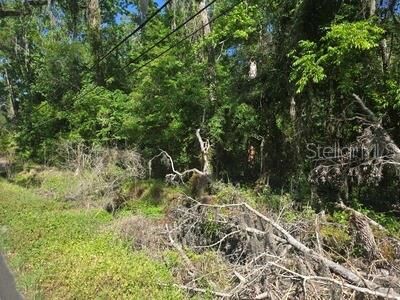 Property Photo: 0 Fort Dade Avenue FL 34601