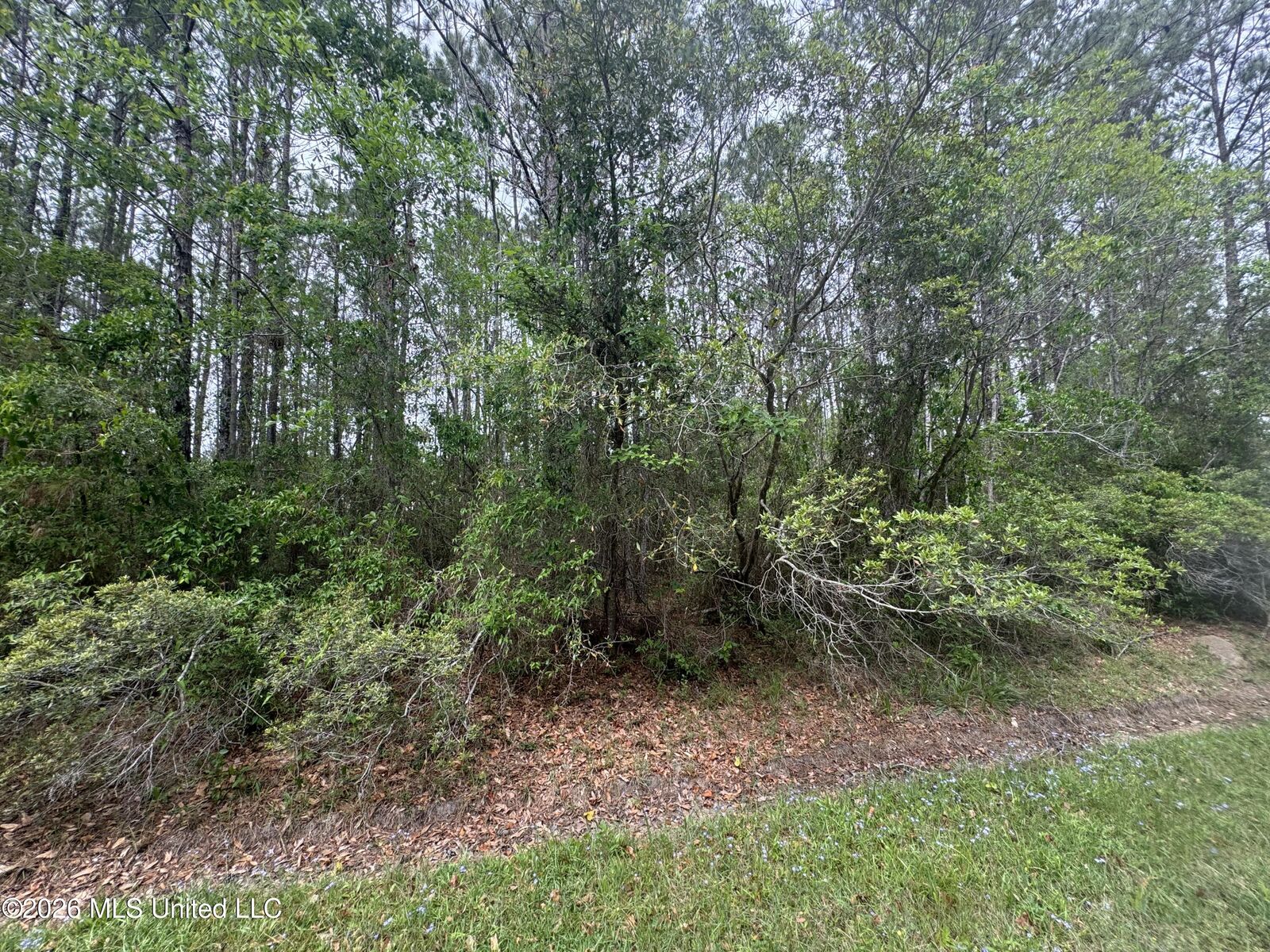 Property Photo:  Nsn 8&Amp9 Monroe Street  MS 39576 