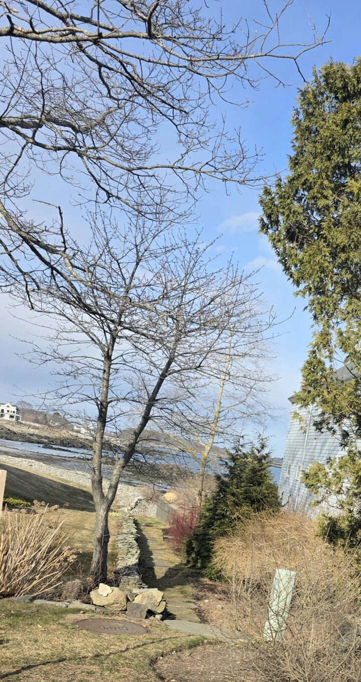 Property Photo:  5 Windemere Place  ME 04046 