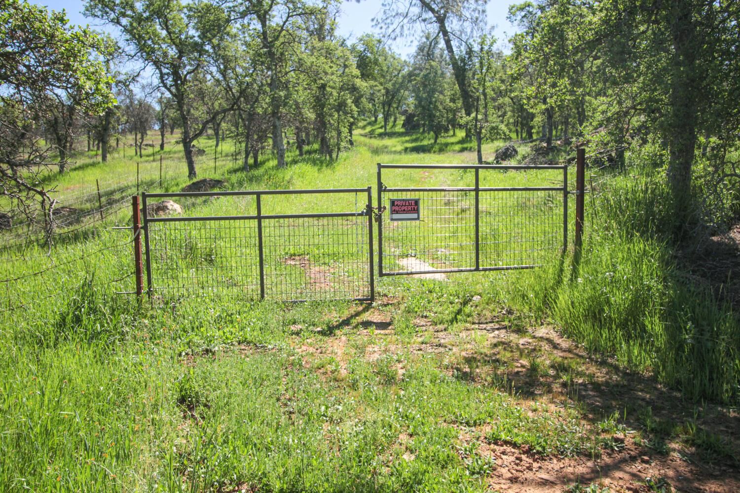 Property Photo:  746 Arbolada Drive  CA 95311 