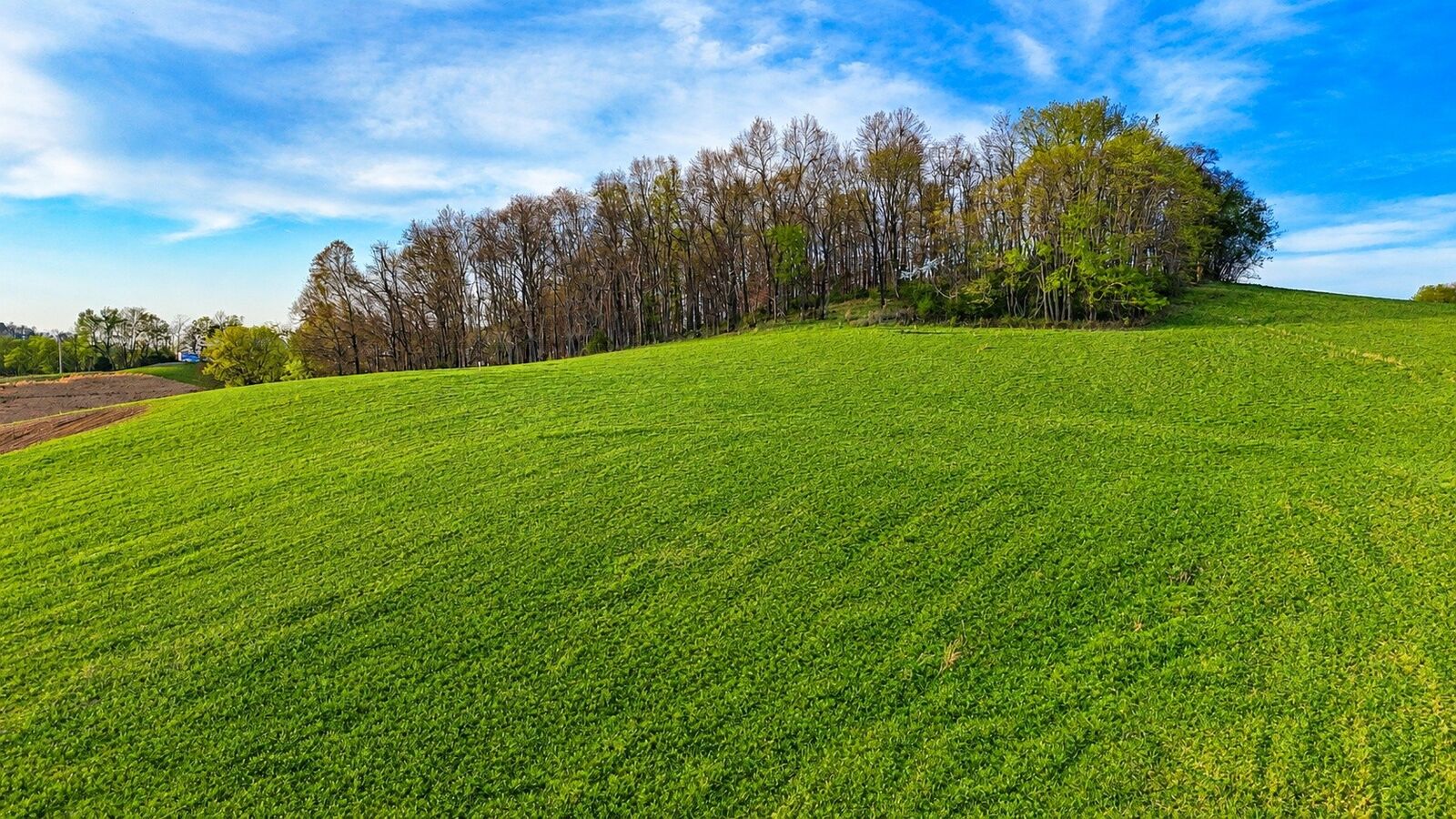 Property Photo:  0 John Brinkley Rd  TN 37160 